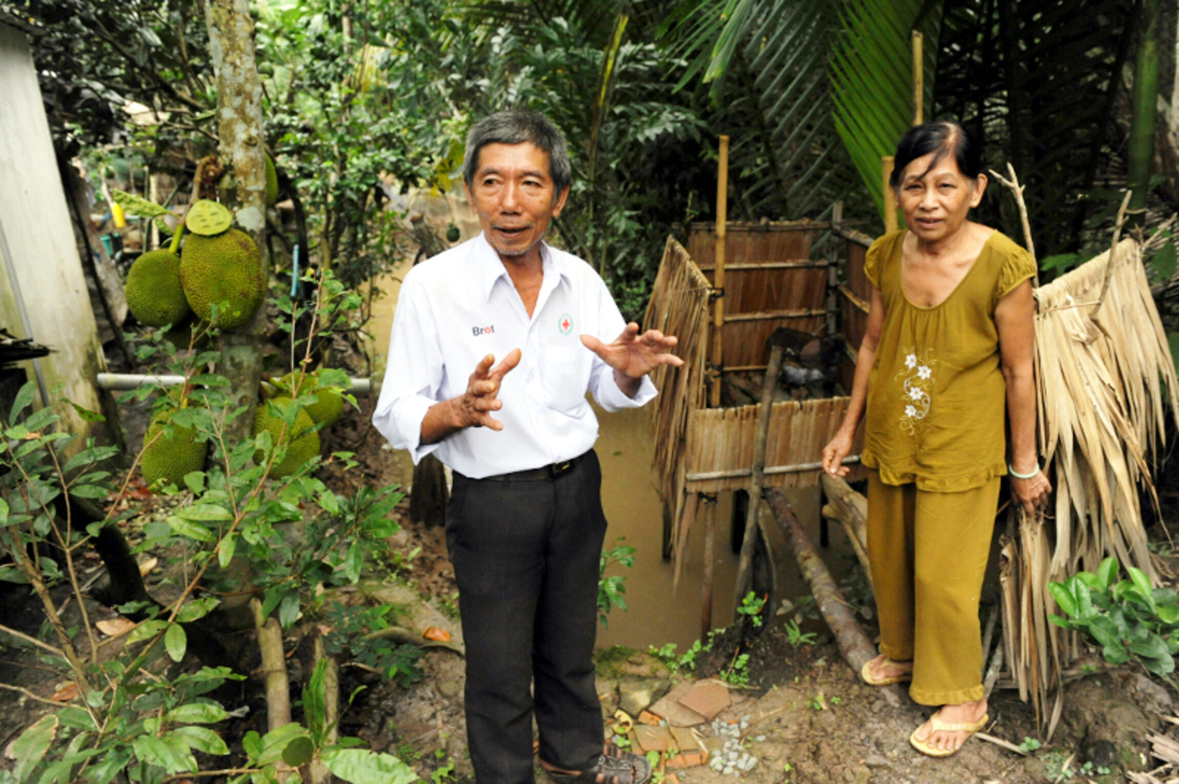 web_vietnam_5419