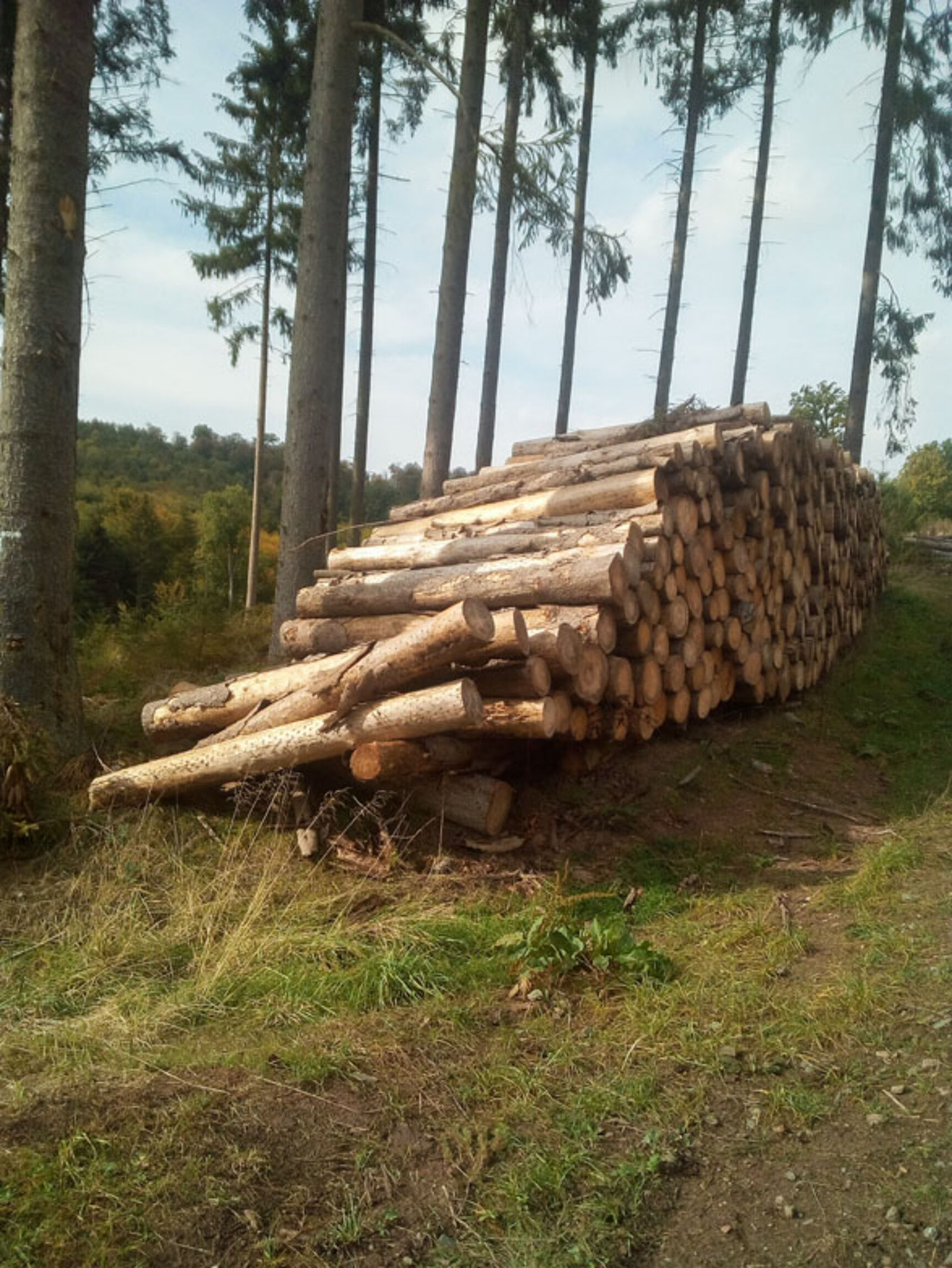 web_pmw_erntedank_img_20201001_142718