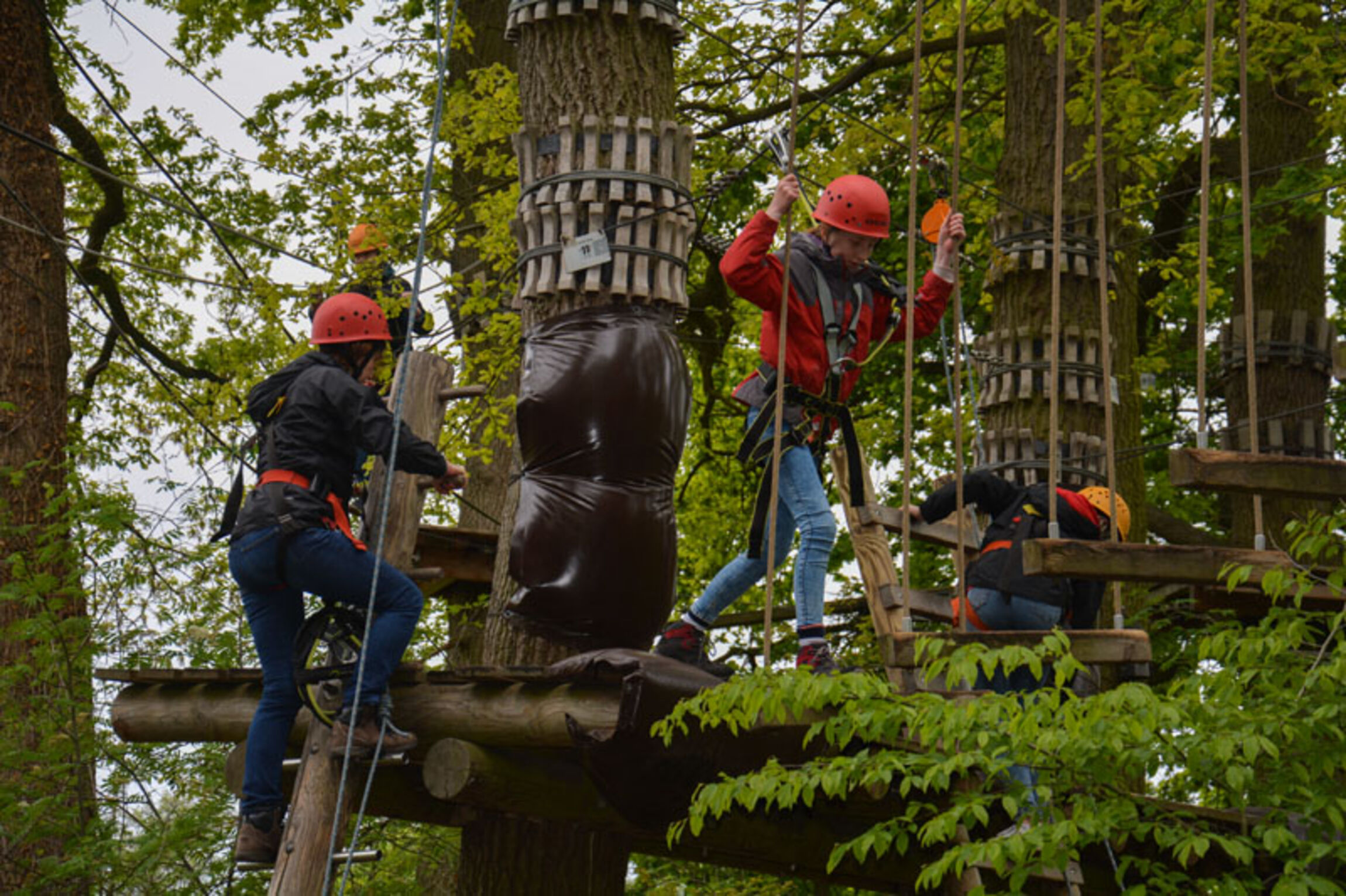 web_konfi_klettergarten_csb_dsc_0407