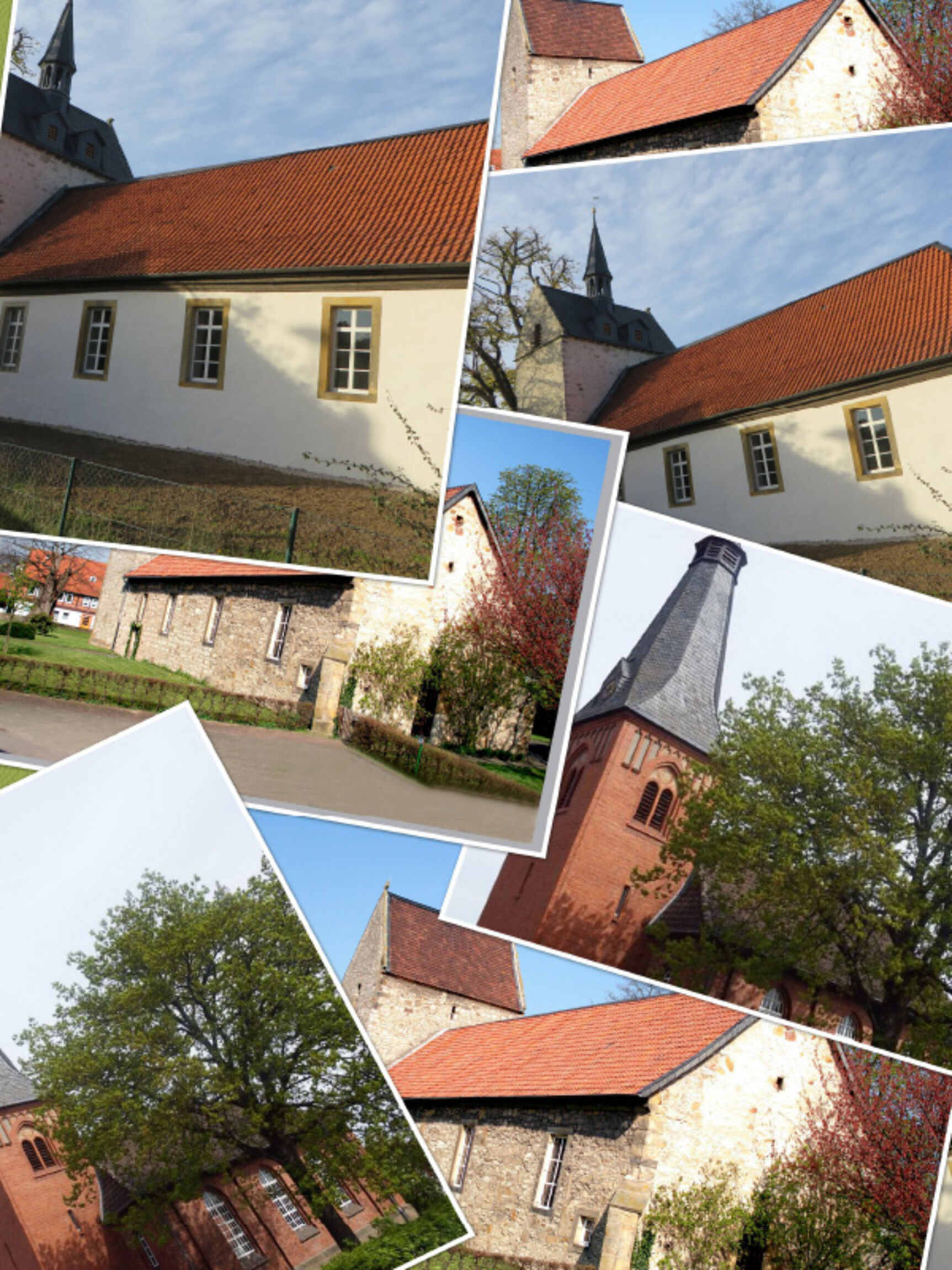 web_collage_hasosi