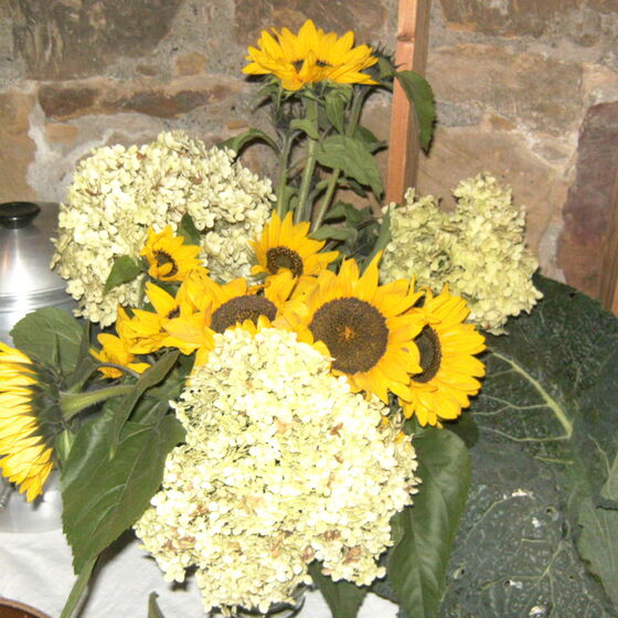 web_erntedank_2015_bild_0133