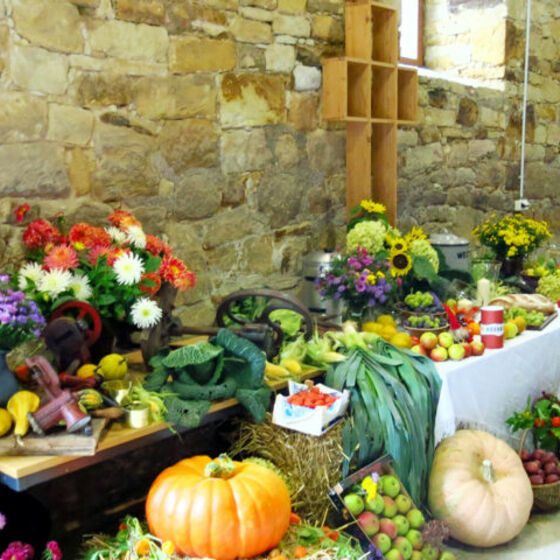 web_ 2015-10-04_erntedank_sillium_3