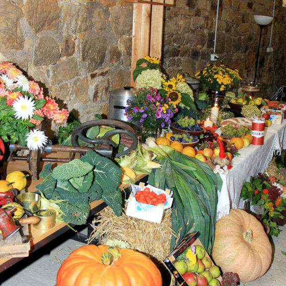 web_ 2015-10-04_erntedank_sillium_4