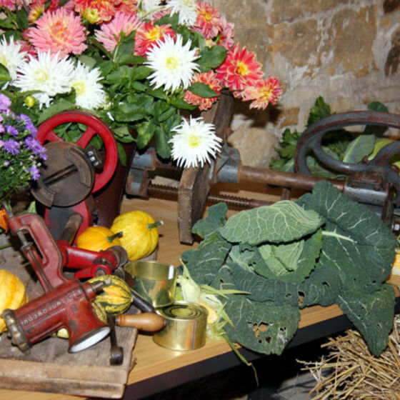 web_ 2015-10-04_erntedank_sillium_6