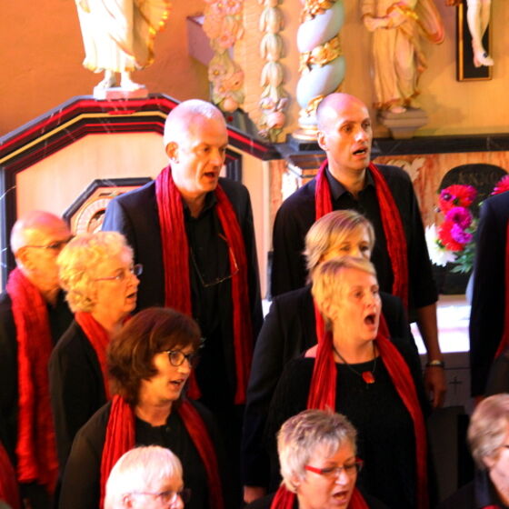web_04_gospelkonzert_hgs_2017