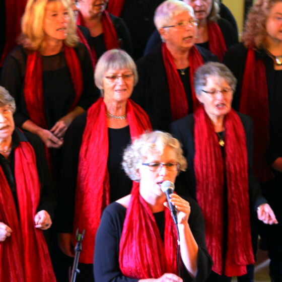 web_05_gospelkonzert_hgs_2017