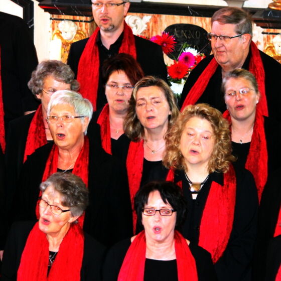web_07_gospelkonzert_hgs_2017