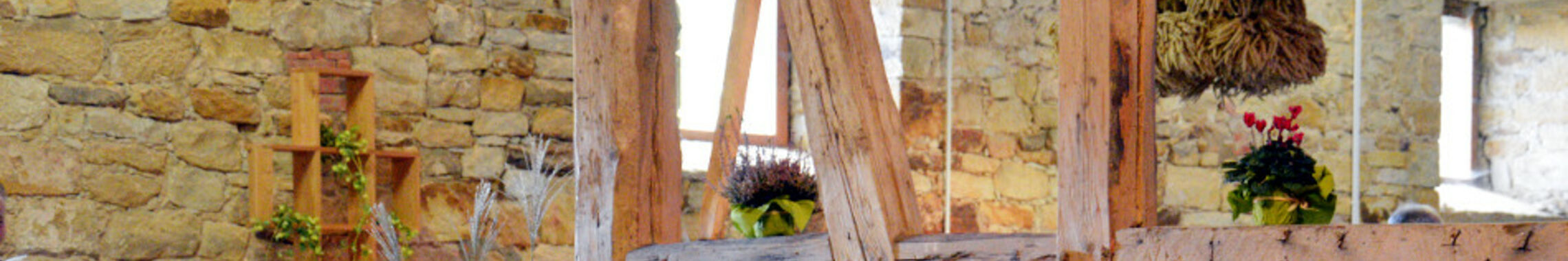 header_csb_dsc_5520