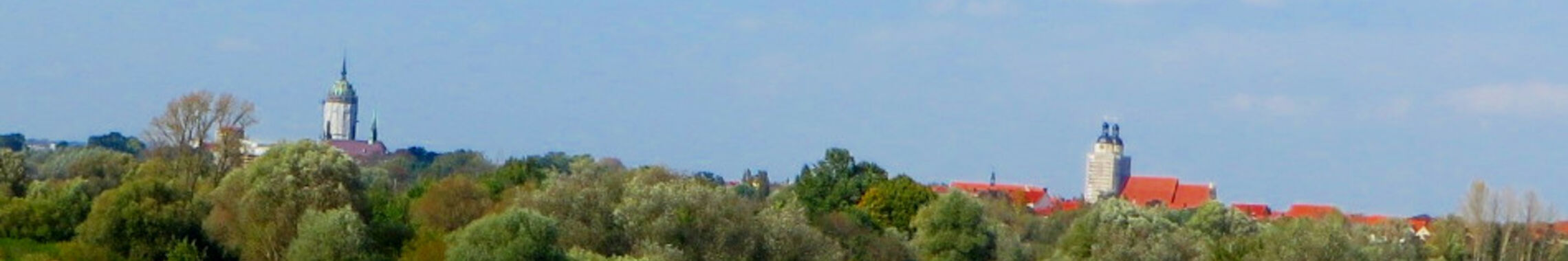 header_img_1198