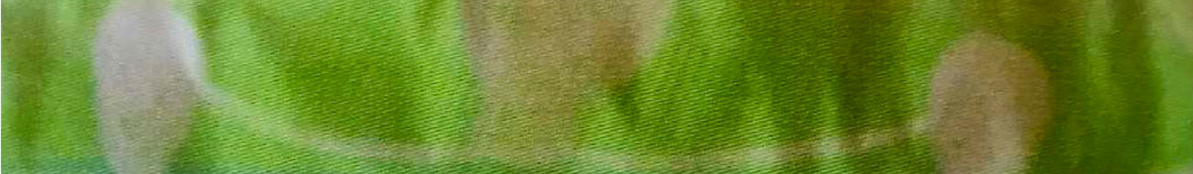 bemalte Papiertüte