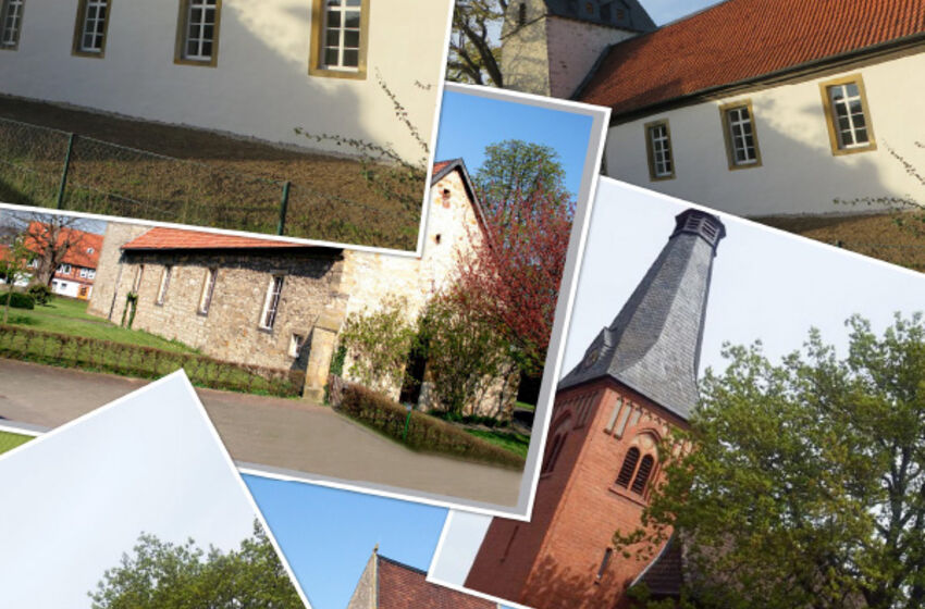 web_collage_hasosi